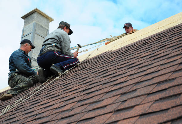 Gutter Installation and Roofing in West Rancho Dominguez, CA