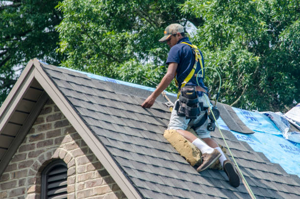 Professional Roofing Contractor in West Rancho Dominguez, CA